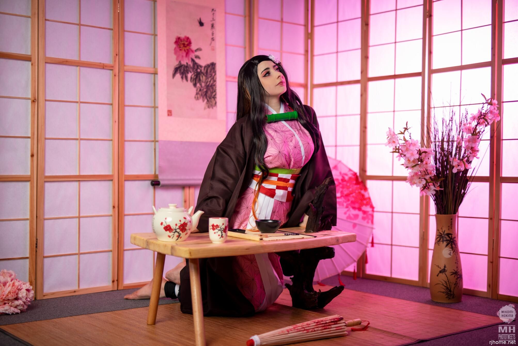 [054]Mikomi hokina - 灶门祢豆子 常服 (鬼灭之刃) [度盘] [59P+14GIF-1.48GB]