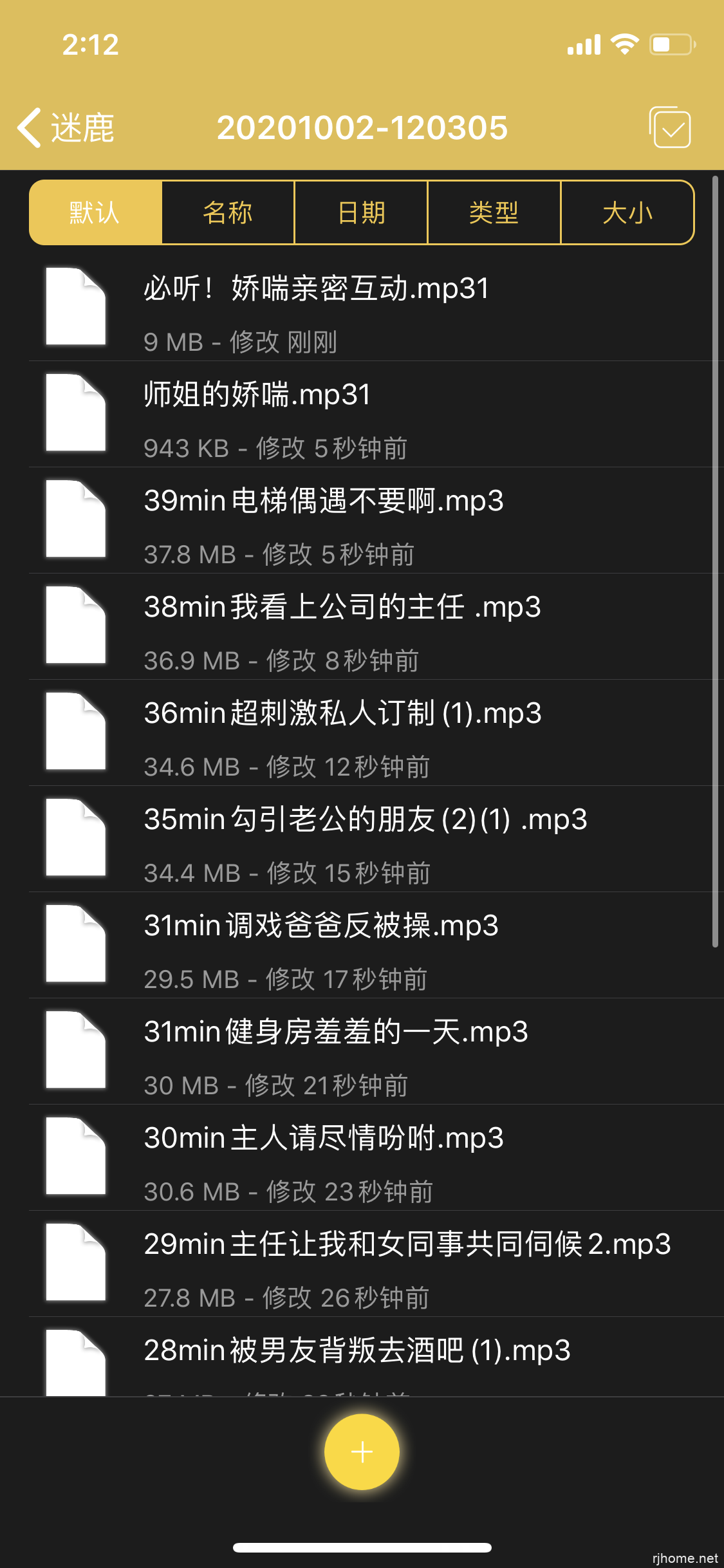 个人收集的荔枝迷鹿17个r18(403m)