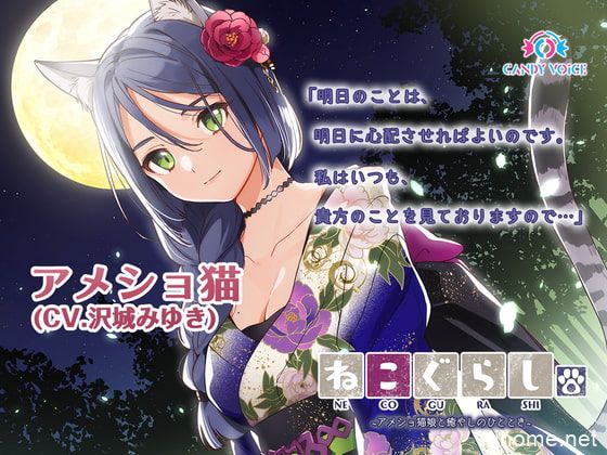 RJ310041[度盘][原版][2.61GB]