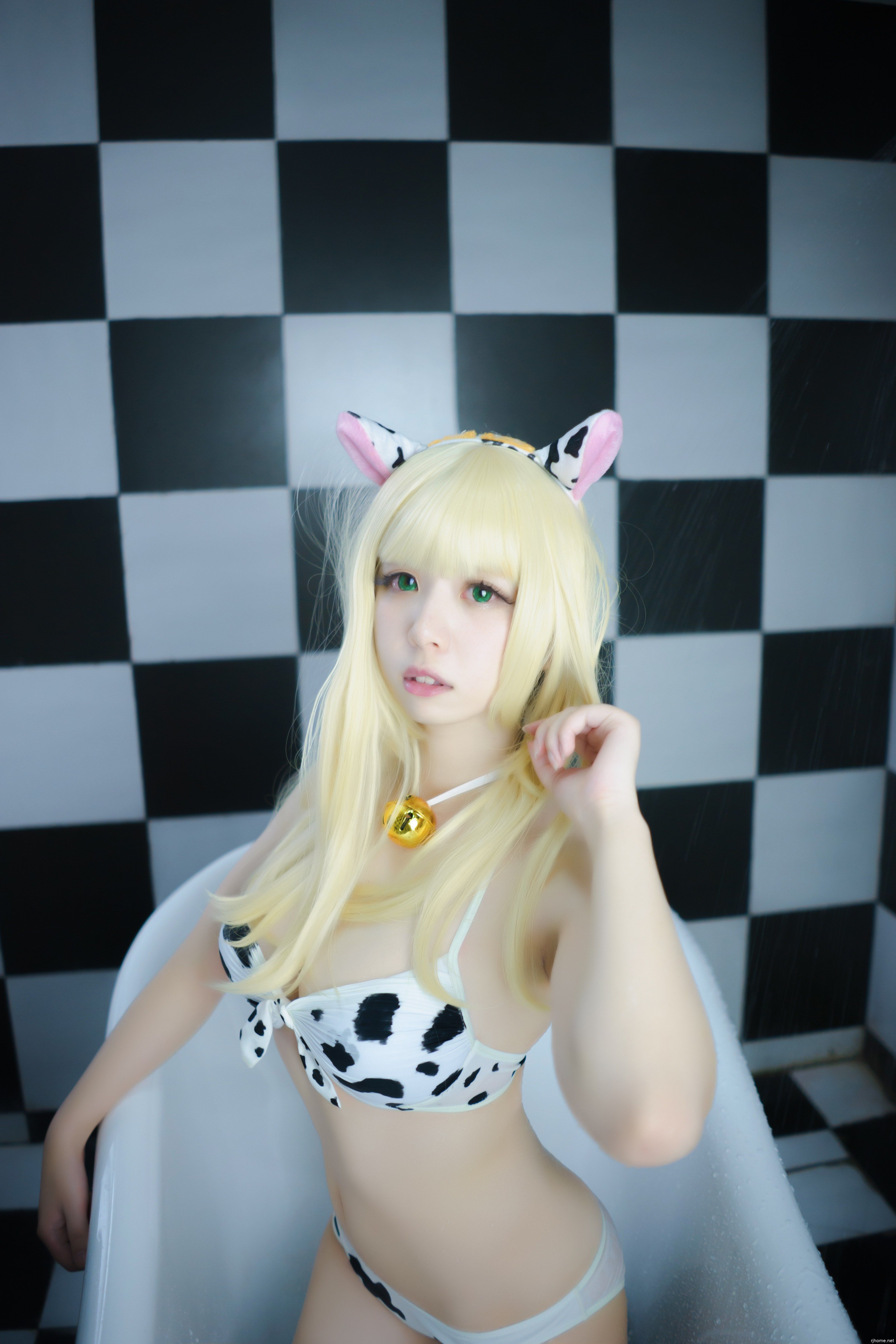 闪月半12套945M 度盘