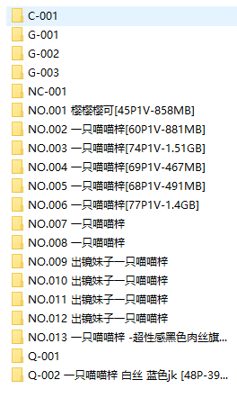 [011]一只喵喵梓20套 [22G]