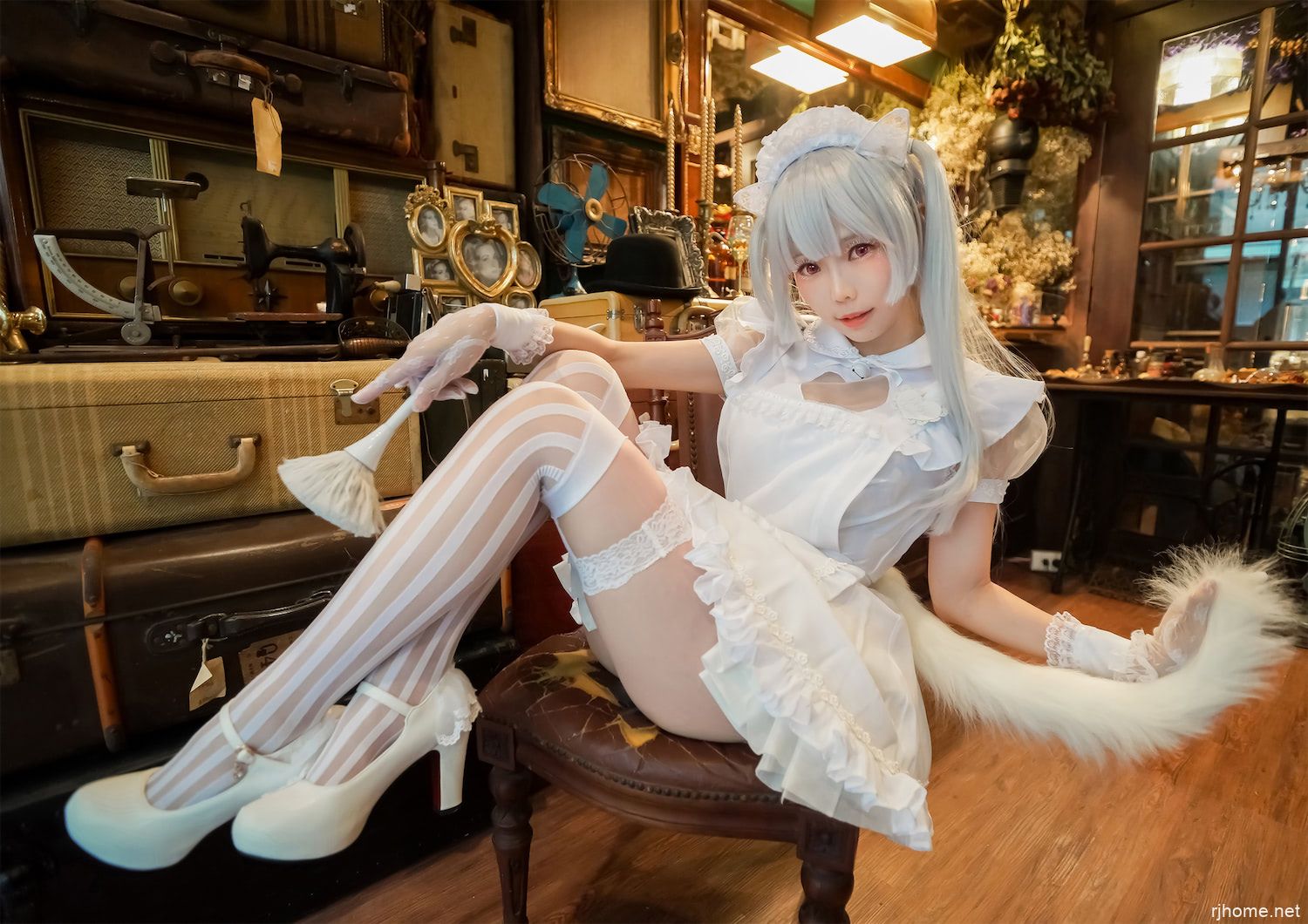 [Ely] シロネコメイド 【50P 12M】