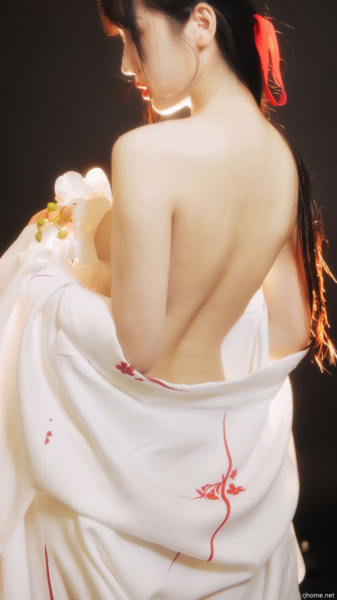 [211]不呆猫22套合集（4.39G）