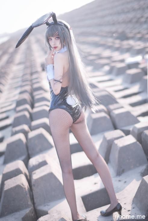 2110318 Shika小鹿鹿87套合集 1723P-11.4G 秒传