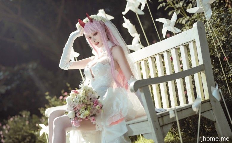 沧霁桔梗 8套合集