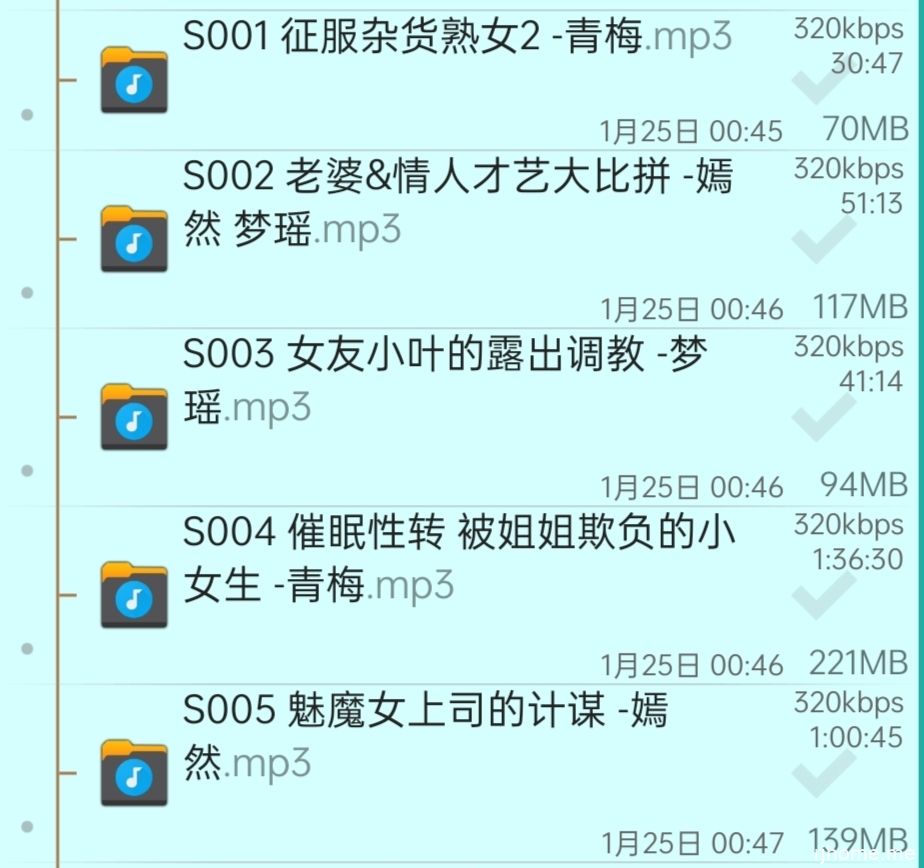小野猫工作室S系列 001-005 500M 秒传