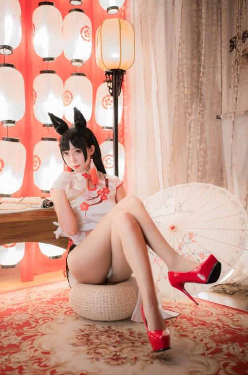 22081311  Money冷冷 4套  204P-3911M