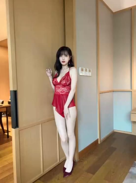 22090120  秀人网林星阑视频合集   15V-4.72G