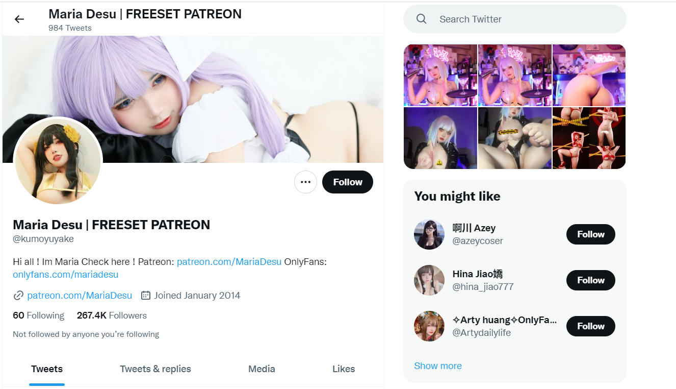 Maria Desu - Arlecchino【15P】