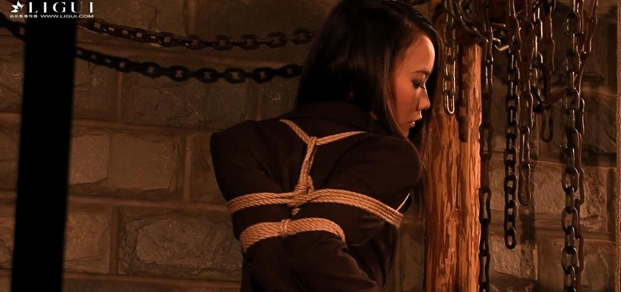 23012520 丽柜DVD合集 10V-17.9G