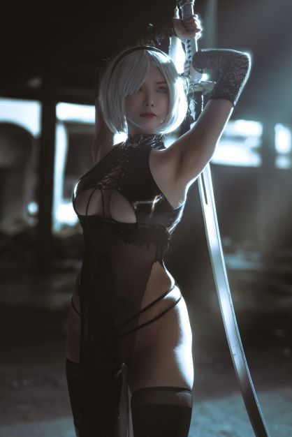 秋和柯基 2B (Nier  Automata) [65P-474.82 MB]