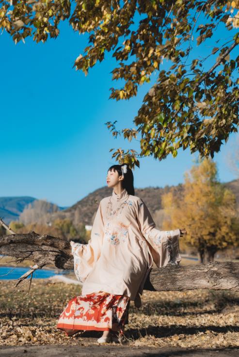 23030305  木绵绵OwO - 山川如酒   35P-450M