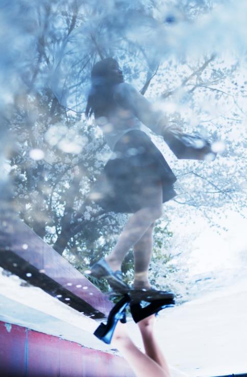 23032309  贰加六9套合集  305P-3.11G