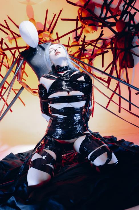 23050211  秋和柯基 - 困境 51P+1V-590M