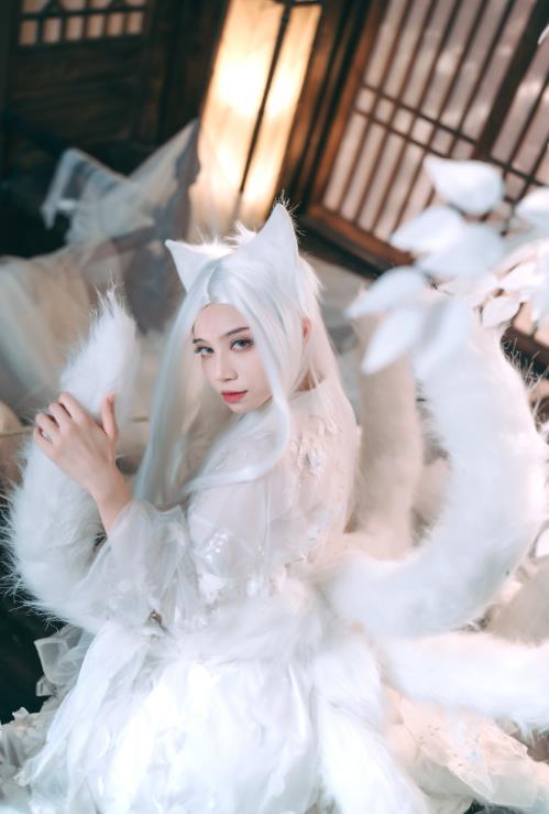 23061511  贰加六25套合集  677P-7.1G