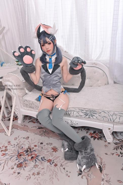 23122220  钛合金 18套合集 726P+14V-6.54G