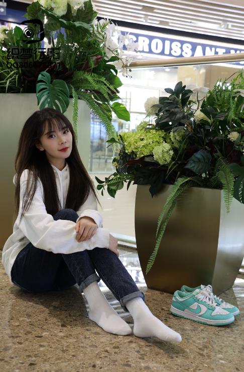 24030403   [织梦映像] 朝阳之旅-我欲乘风向北行   296P+2V-2.07G