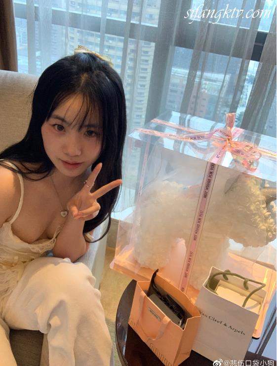 24060711   悲伤口袋小狗 推特合集  44P+11V-5.01G