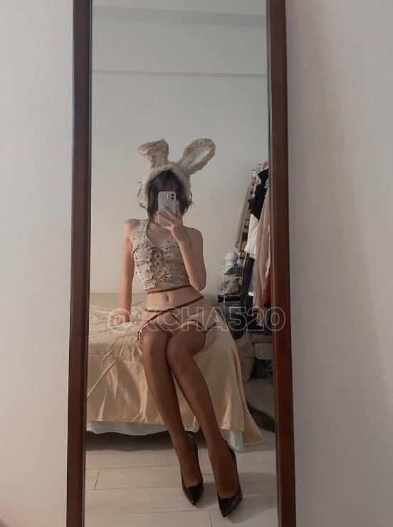 24062517   搽搽18套合集  487P+67V-11G