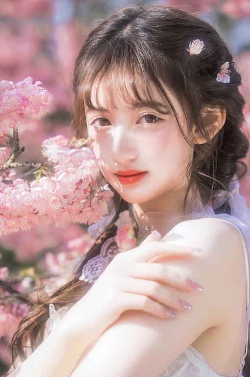 24071906   怡子yiii - 樱花限定  20P-297M