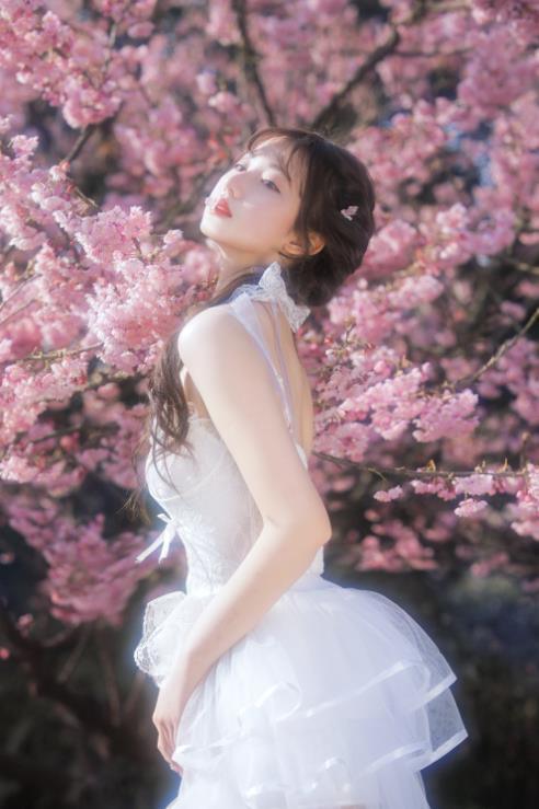 24071906   怡子yiii - 樱花限定  20P-297M