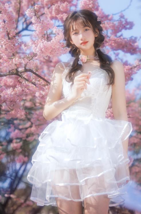 24071906   怡子yiii - 樱花限定  20P-297M