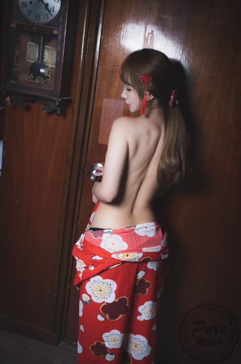 24070303   PURE MEDIA 15套合集  1643P-4.5G