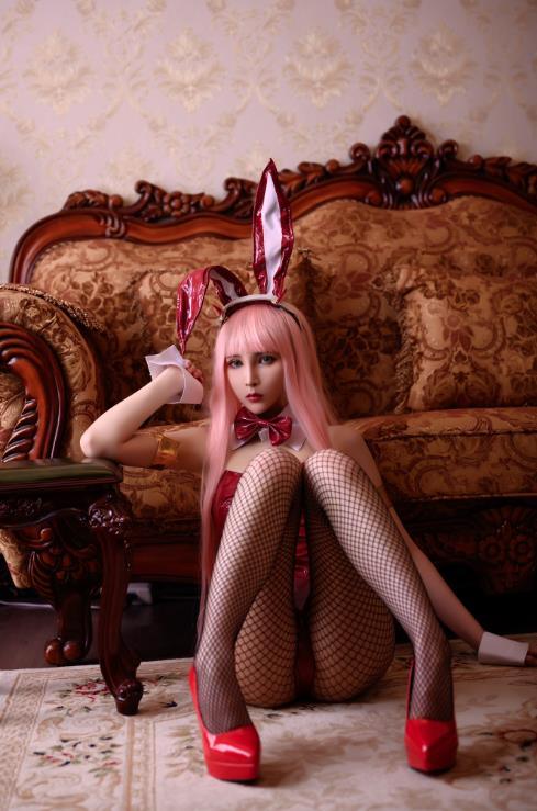 24082117   vams子 12套合集  505P+2V-6.8G