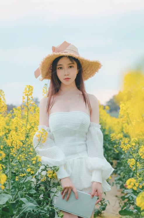 24081313  年年 - 花の野  53P-201M