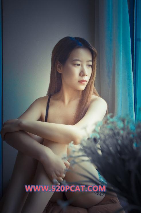 24101613   PartyCat 8套合集  292P+1V-3.87G