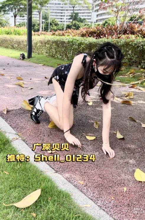 25082814  广深贝贝 推特合集 321P+16V-652M