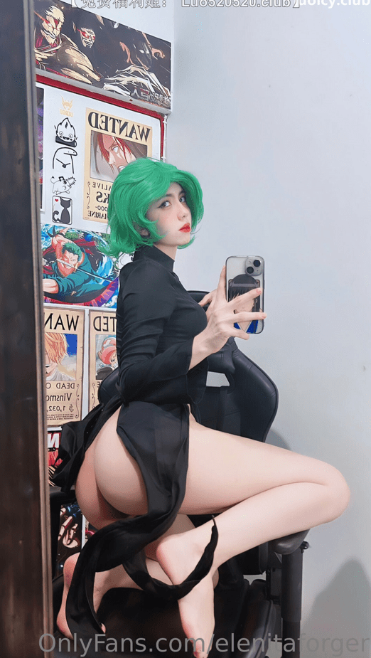 25092012  Elenitaforger onlyfans合集 803P+316V-1.3G