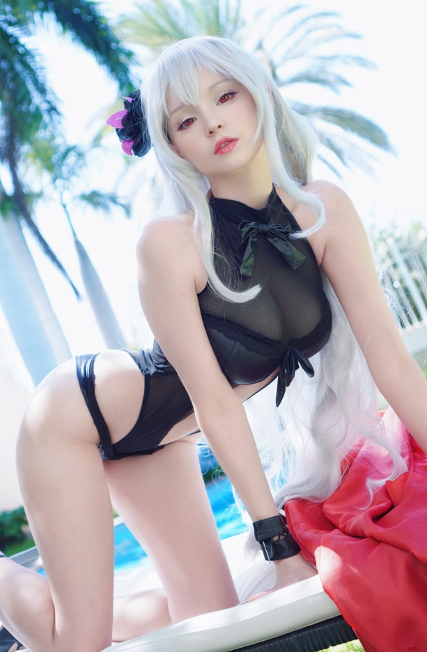 25103102  Hidori Rose - Graf Zeppelin 30P+1V-2.77G