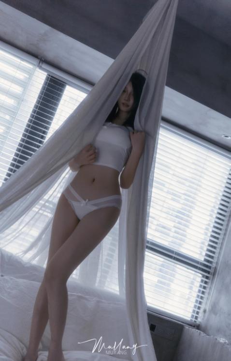 25101607  MuYang 摄影作品  235P+3V-873M