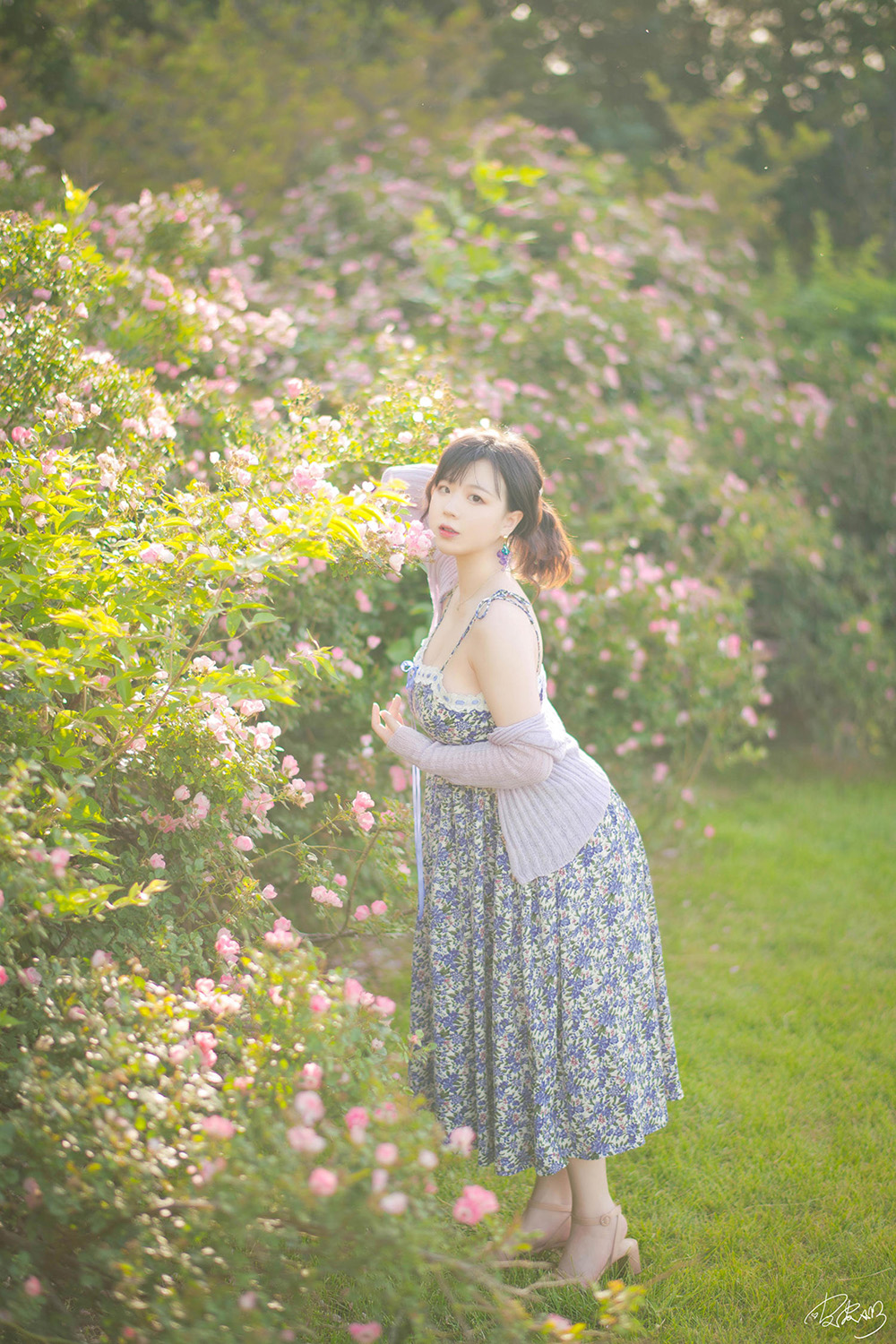 皮皮奶可可爱了啦 – NO.064 蔷薇花[37P-787.6M]