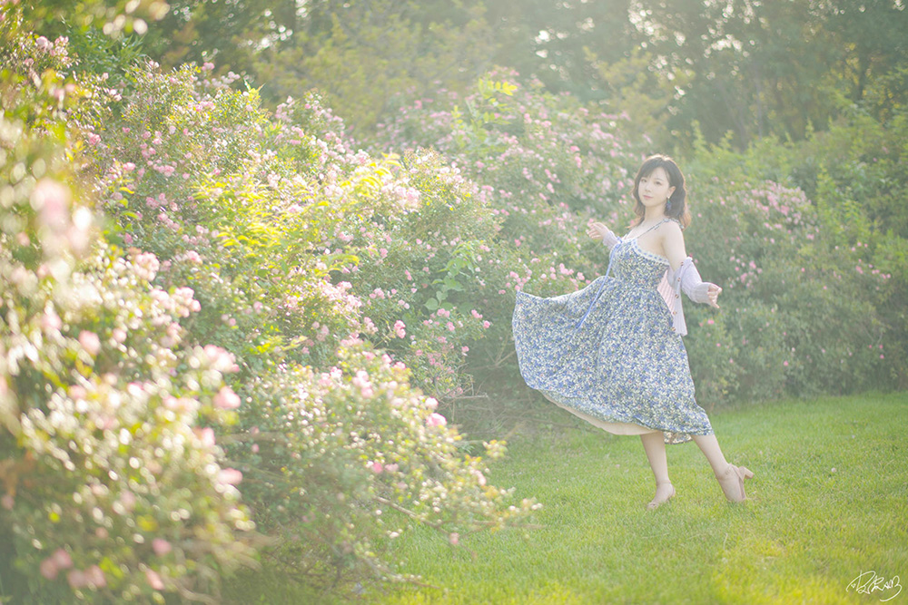 皮皮奶可可爱了啦 – NO.064 蔷薇花[37P-787.6M]