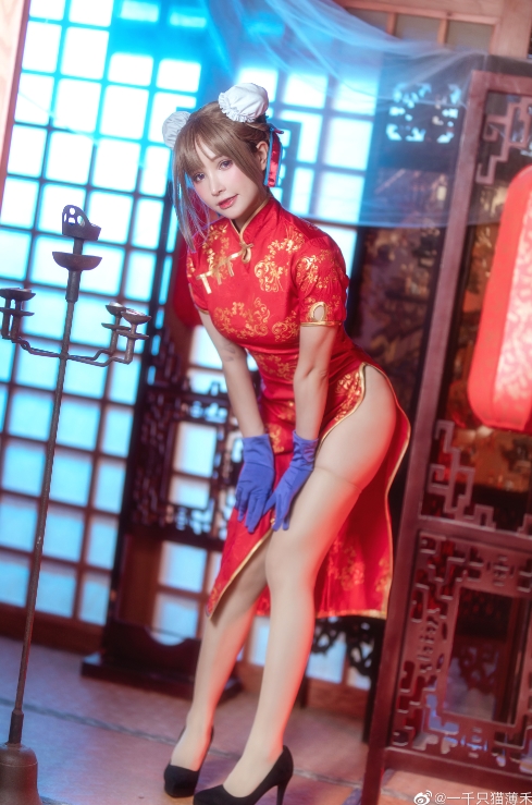 25112817  一千只猫薄禾 47套合集 696P+4V-2.61G