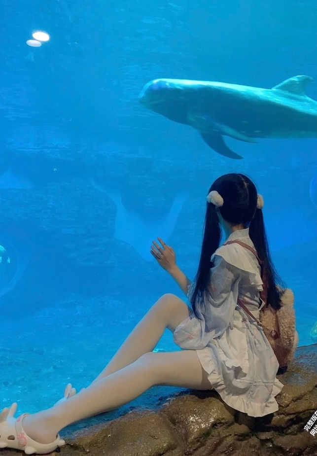 25122309  小月喵 推特合集 298P+34V-1.4G