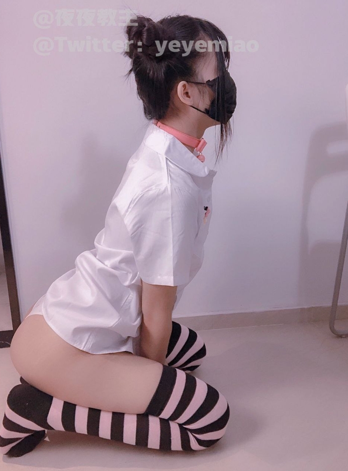 26012909  夜夜教主 推特合集  593P+4V-465M