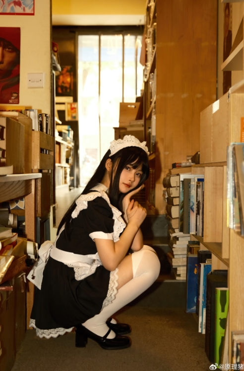 26022620  原理猪 6套合集 70P-2.78G