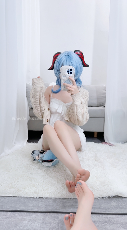 26021105  Seele麦麦 27套合集 1591P+60V-8.73G