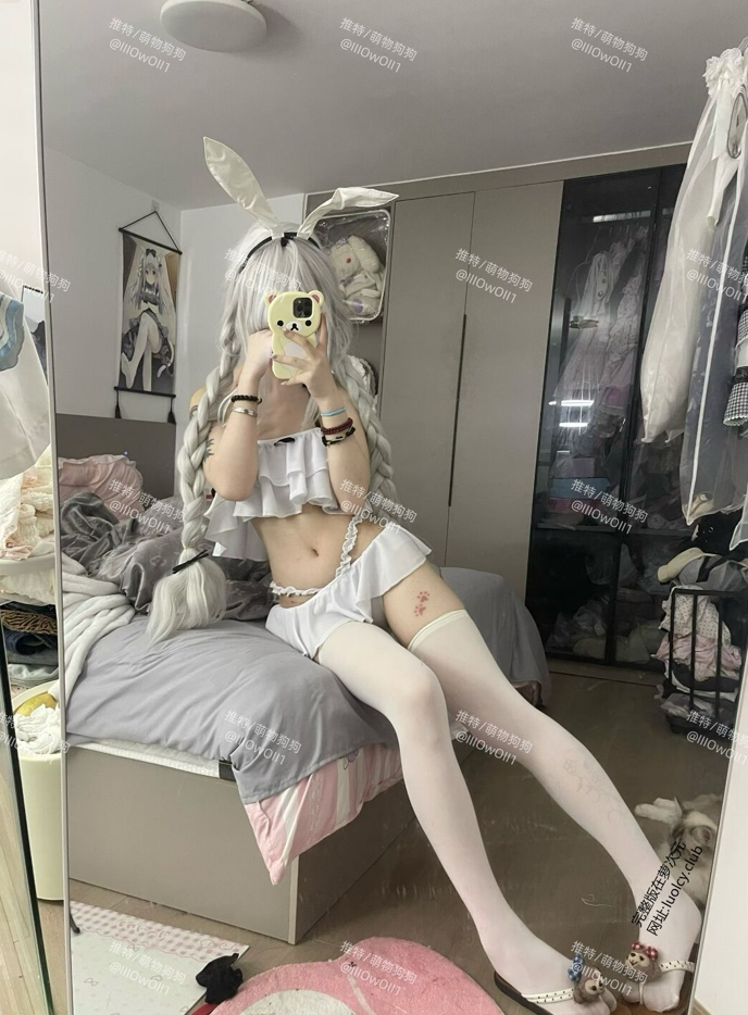 26030407   萌物狗狗 推特合集 62P+44V-717M