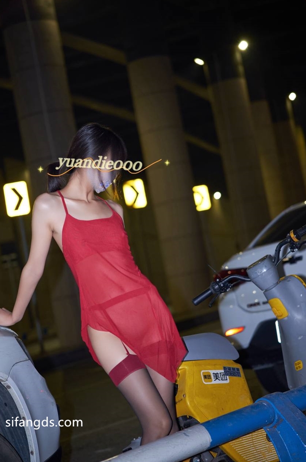 26042910  鸳蝶 - 推特合集 88P+22V-223M