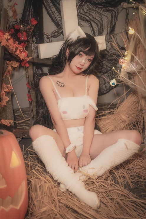 26040412  奇行家狗崽 11套合集 285P-3.33G