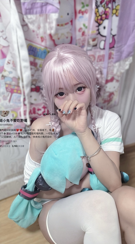26062308   姬小兔不爱吃野梅 推特合集 384P+14V-142M