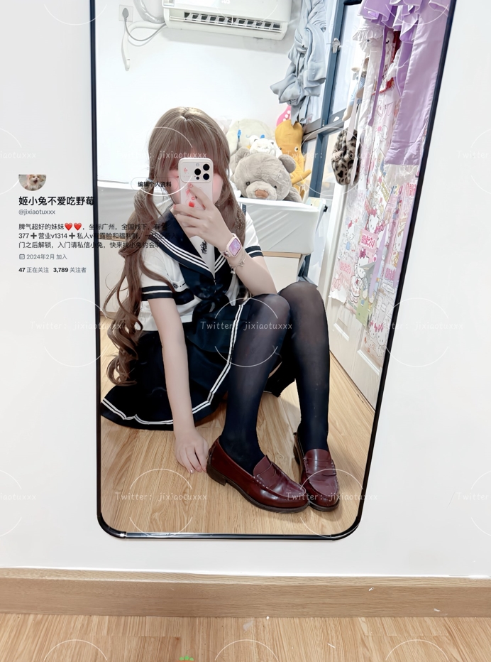 26062308   姬小兔不爱吃野梅 推特合集 384P+14V-142M