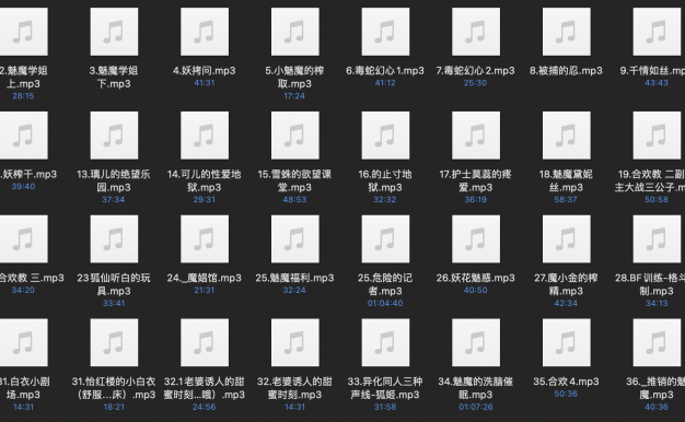 阿木木 中文音声 小合集