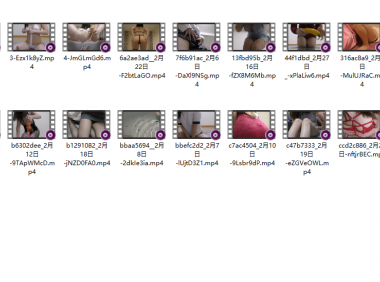 [季费]ポメ子2022年二月合集[度盘][32.3GB]