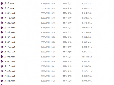 [季费VIP]ポメ子2023年一月合集[度盘][41.8GB]