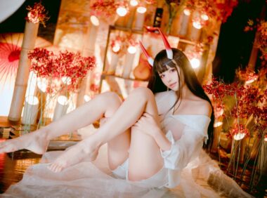 25102611  Shika小鹿鹿 11套合集 324P+3V-3.31G